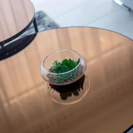 בית נופש Maestral זאטון